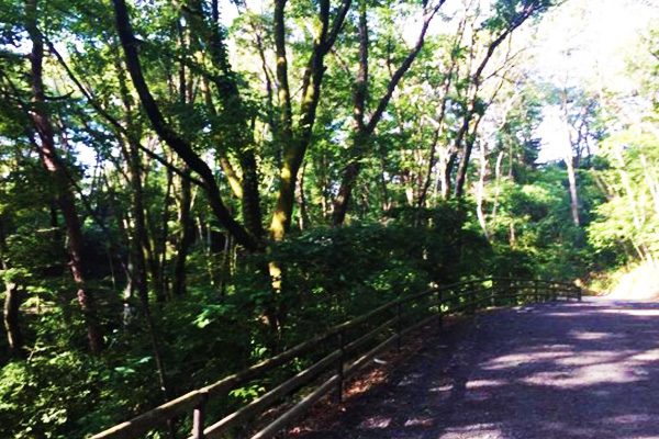 宮城
