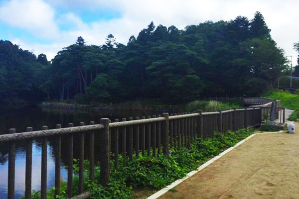 宮城