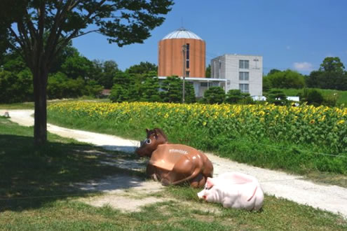 愛知