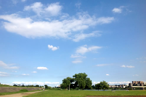 愛知