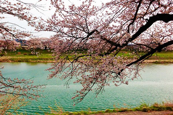 宮城