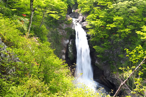 宮城
