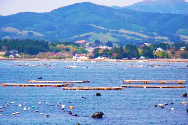 宮城