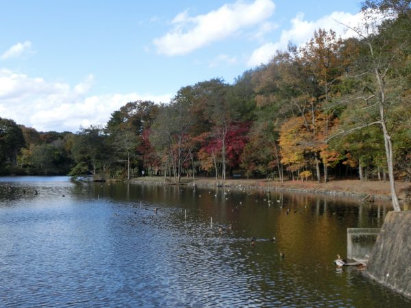 栃木