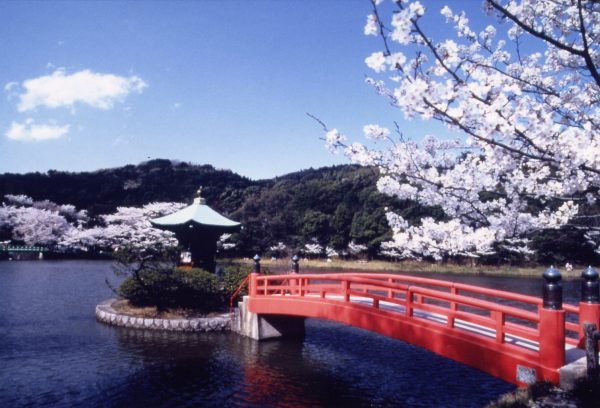 愛知