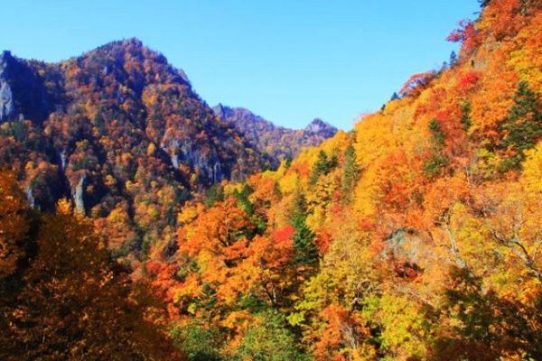 北海道