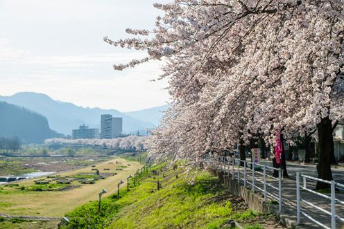 山形