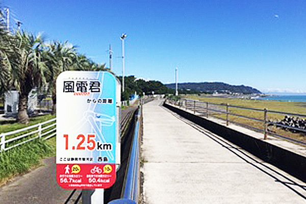 静岡
