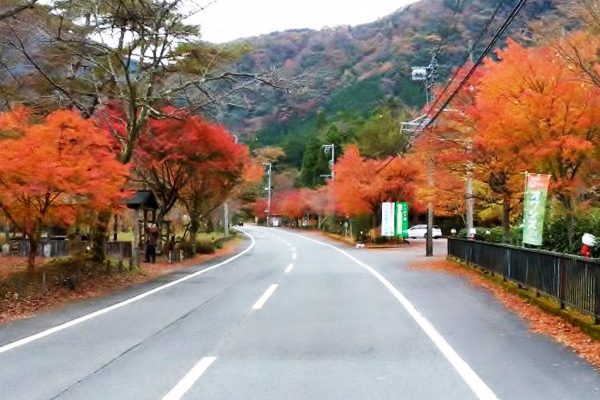 静岡