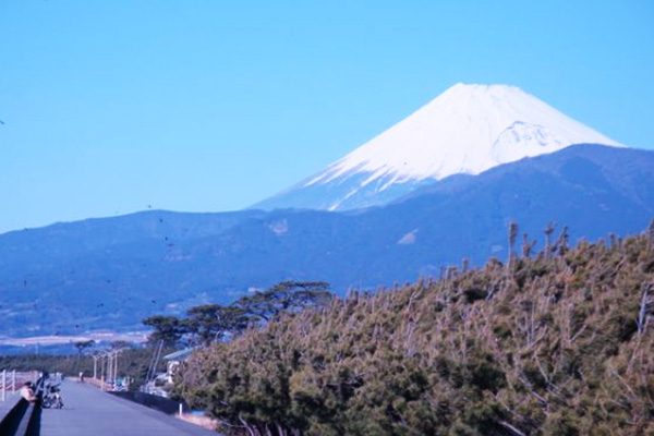 静岡