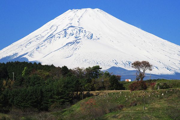静岡