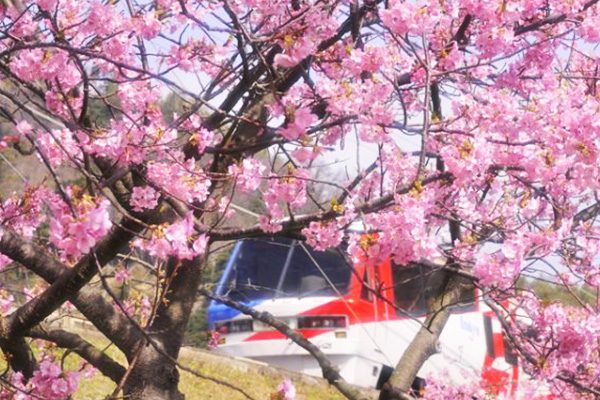 静岡