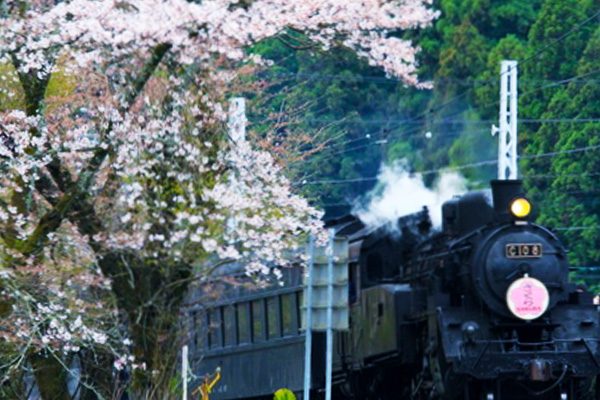 静岡