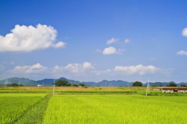 山形