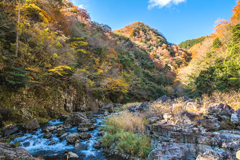 広島
