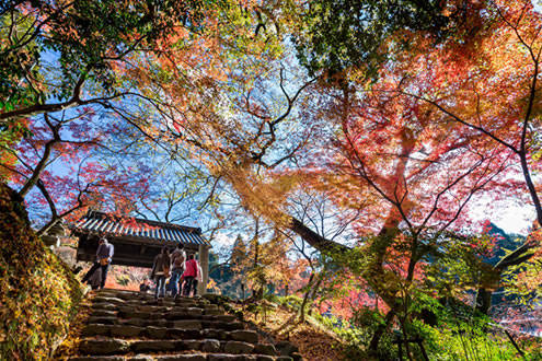 福岡