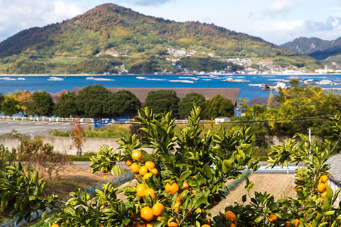 広島