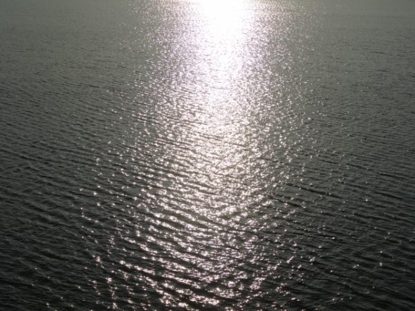 福岡