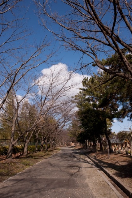 大阪