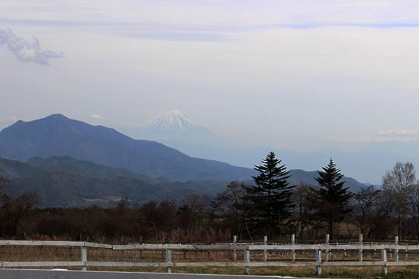 山梨