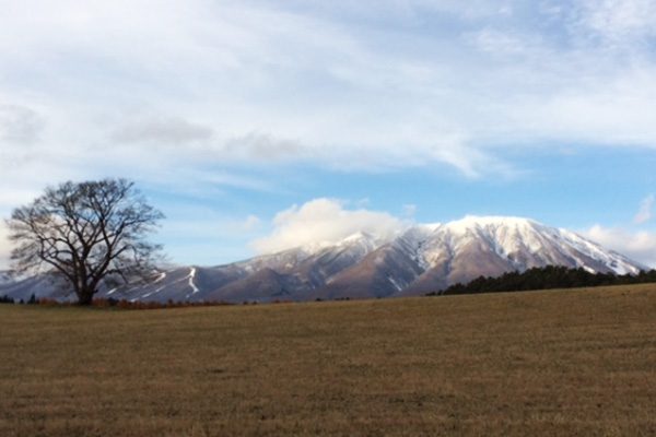 岩手