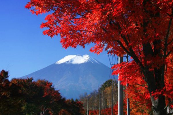 山梨