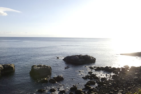 宮崎