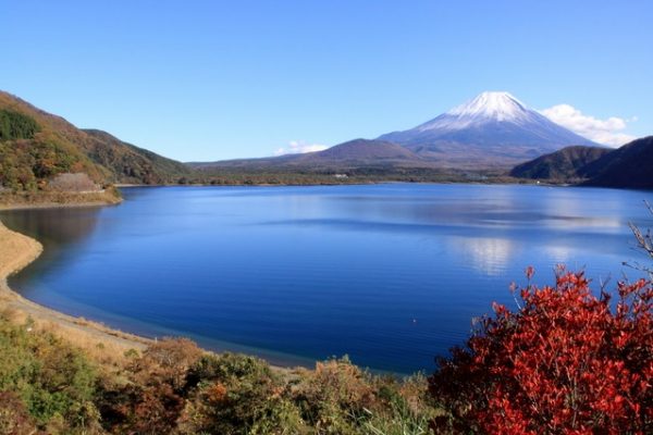 山梨