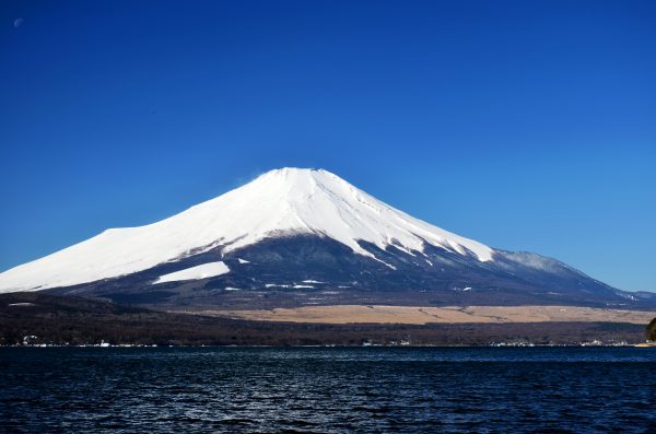 山梨