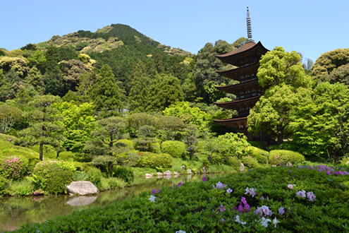 山口
