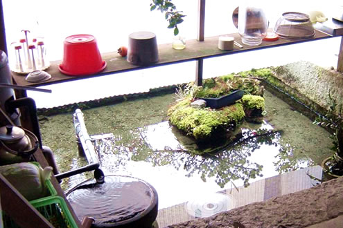 滋賀