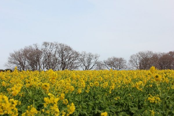 滋賀
