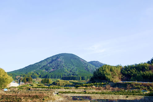 熊本