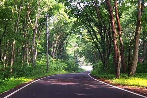 長野