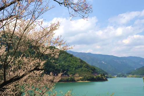 熊本