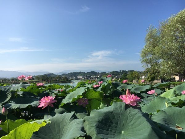 和歌山