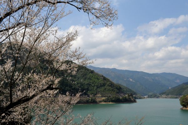 熊本