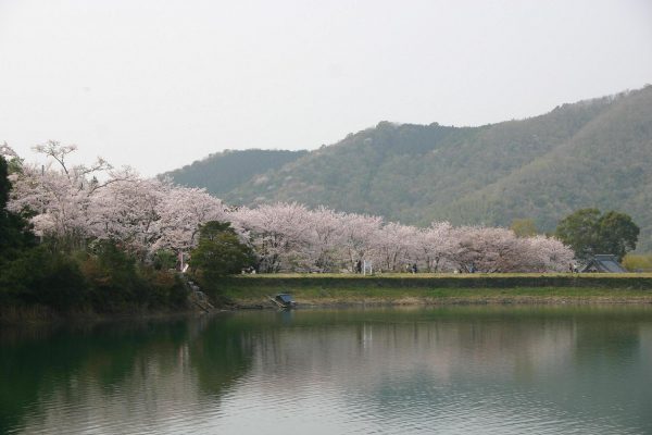 和歌山