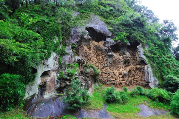 和歌山