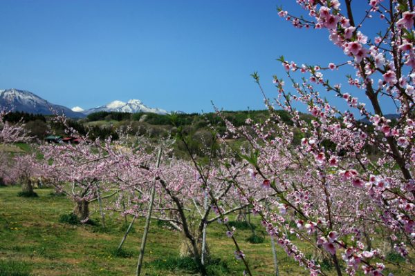 長野