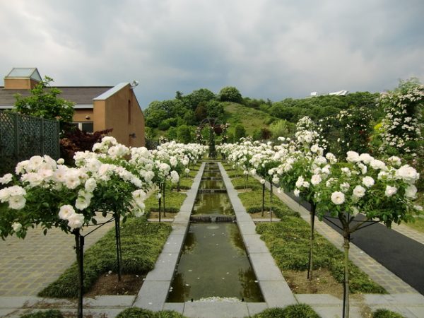 岐阜