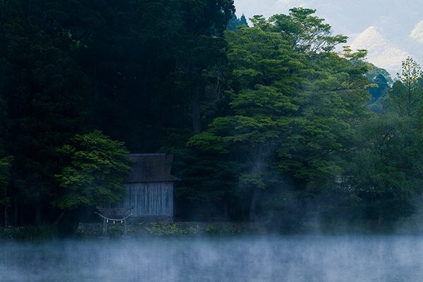 大分