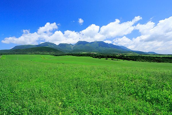 大分