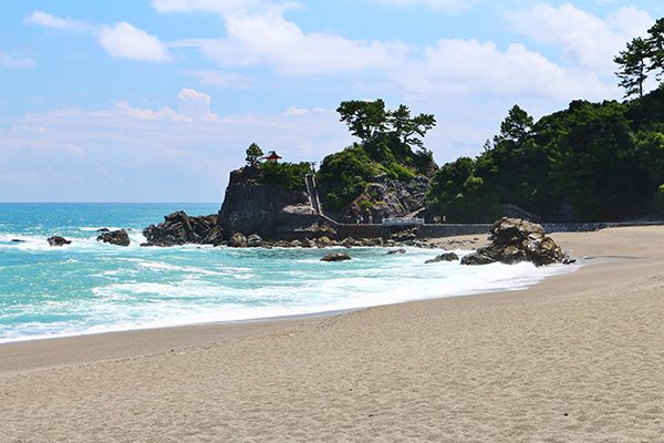 高知