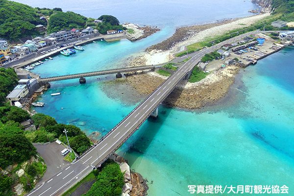 高知