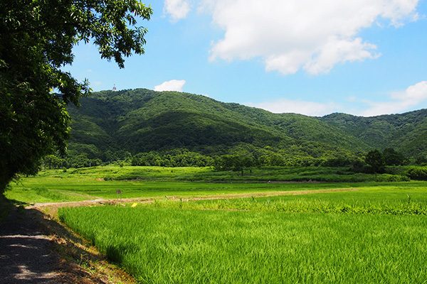 茨城