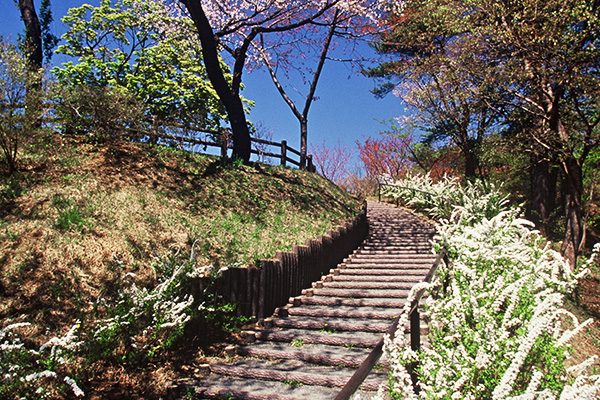 青森
