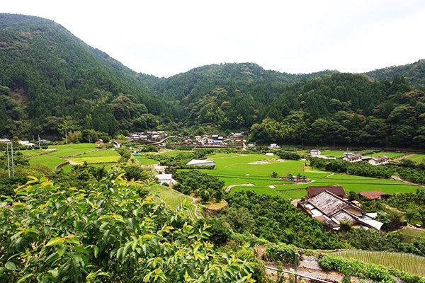 高知