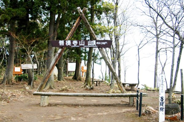 新潟