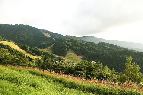 鳥取
